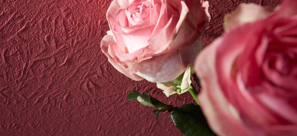 ERFURT Vliesfaser 716 PRO