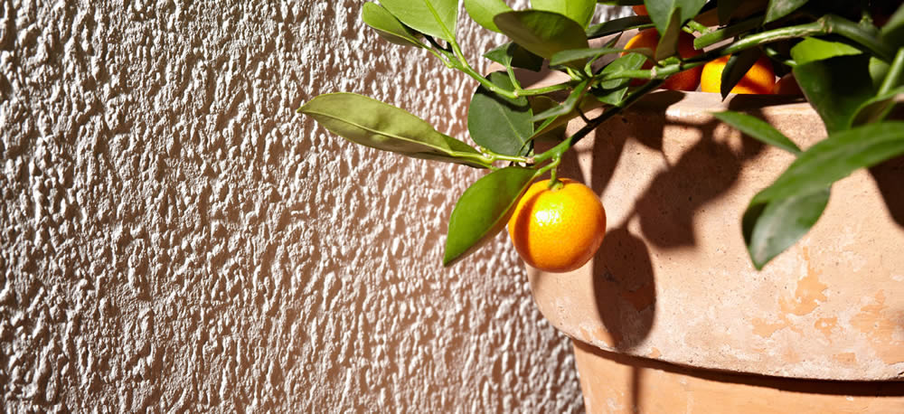 ERFURT Vliesfaser 730 PRO