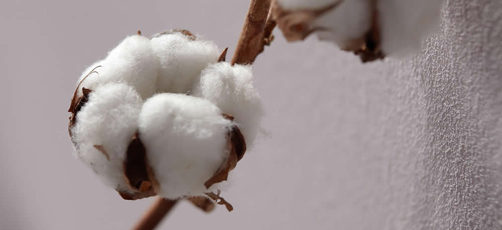 ERFURT Vliesfaser 735 PRO